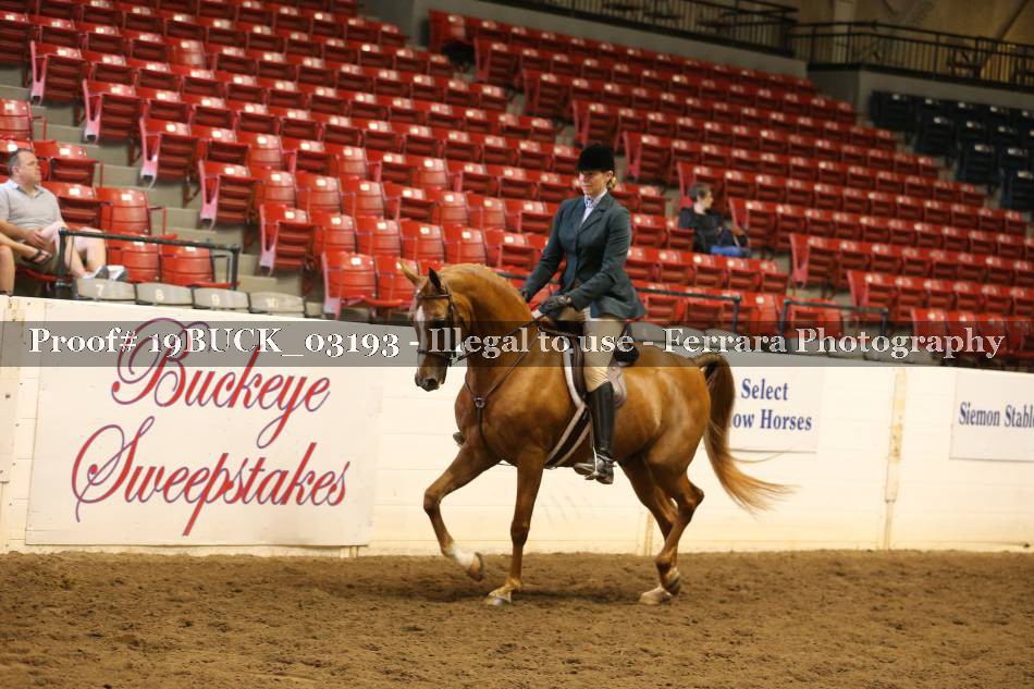 Proof 19BUCK_03193