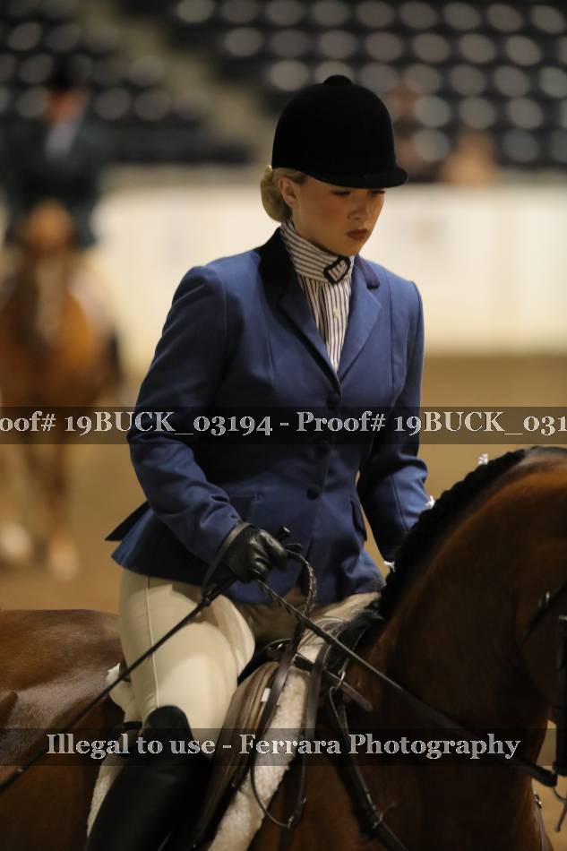 Proof 19BUCK_03194