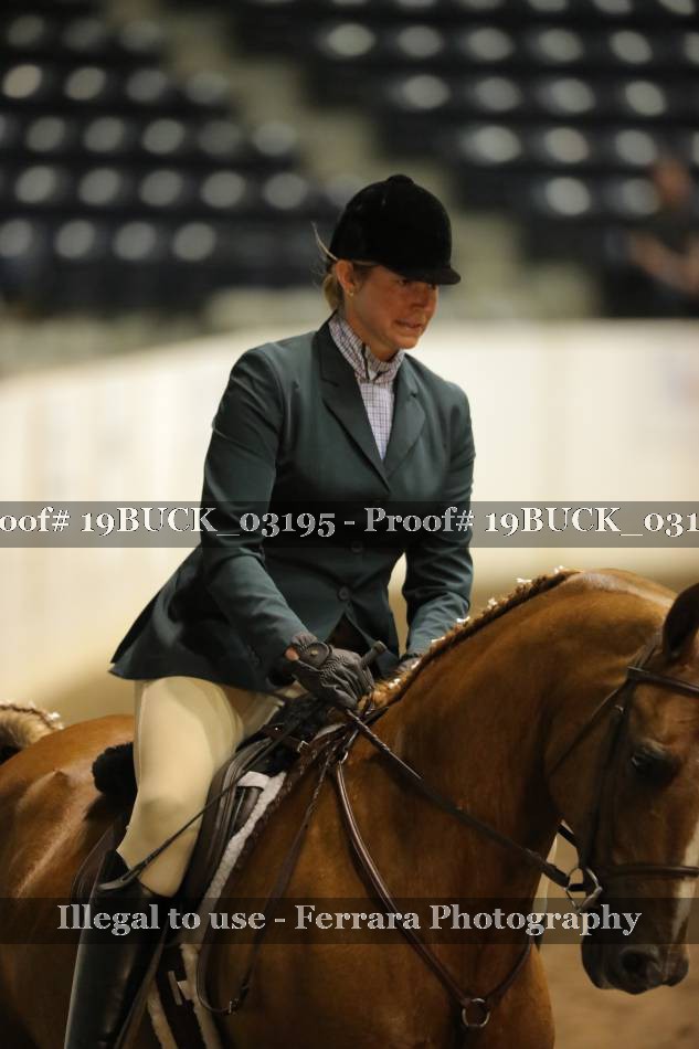 Proof 19BUCK_03195