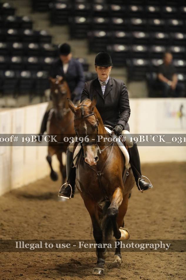 Proof 19BUCK_03196