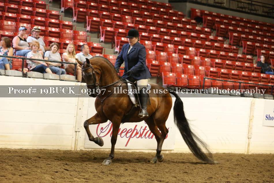 Proof 19BUCK_03197