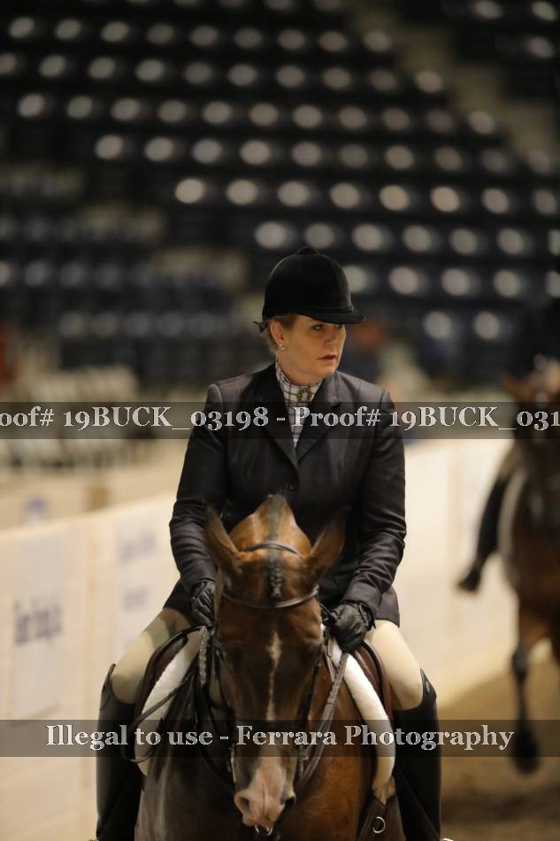 Proof 19BUCK_03198