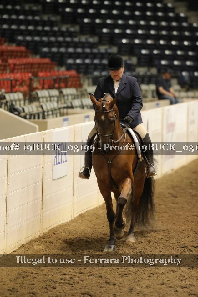 Proof 19BUCK_03199