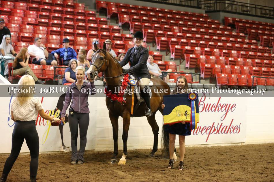 Proof 19BUCK_03201