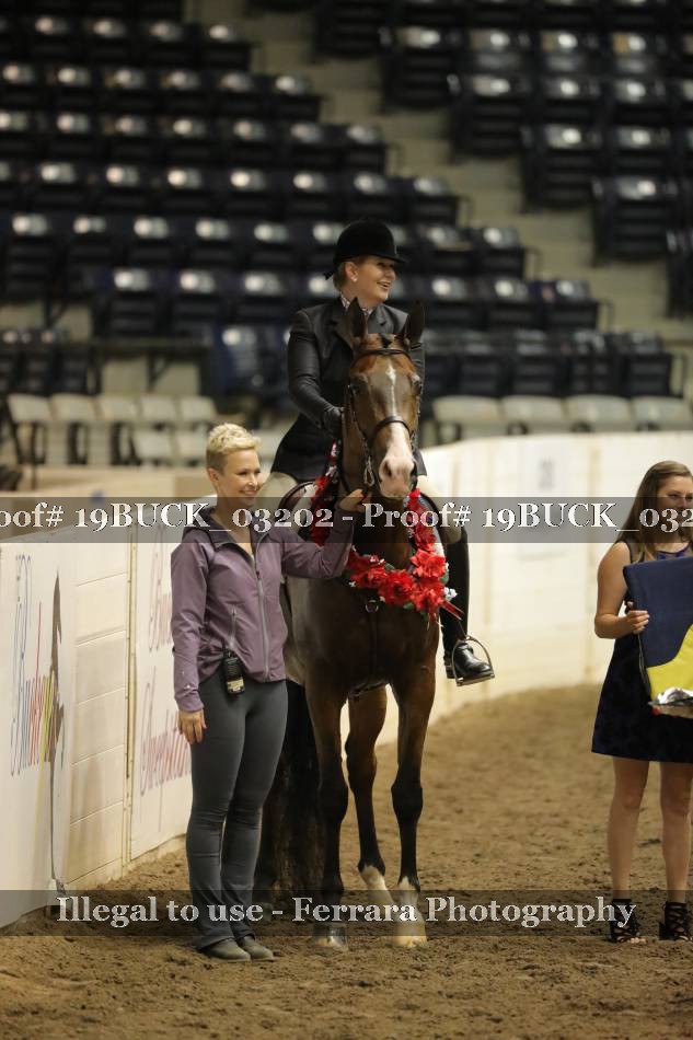 Proof 19BUCK_03202