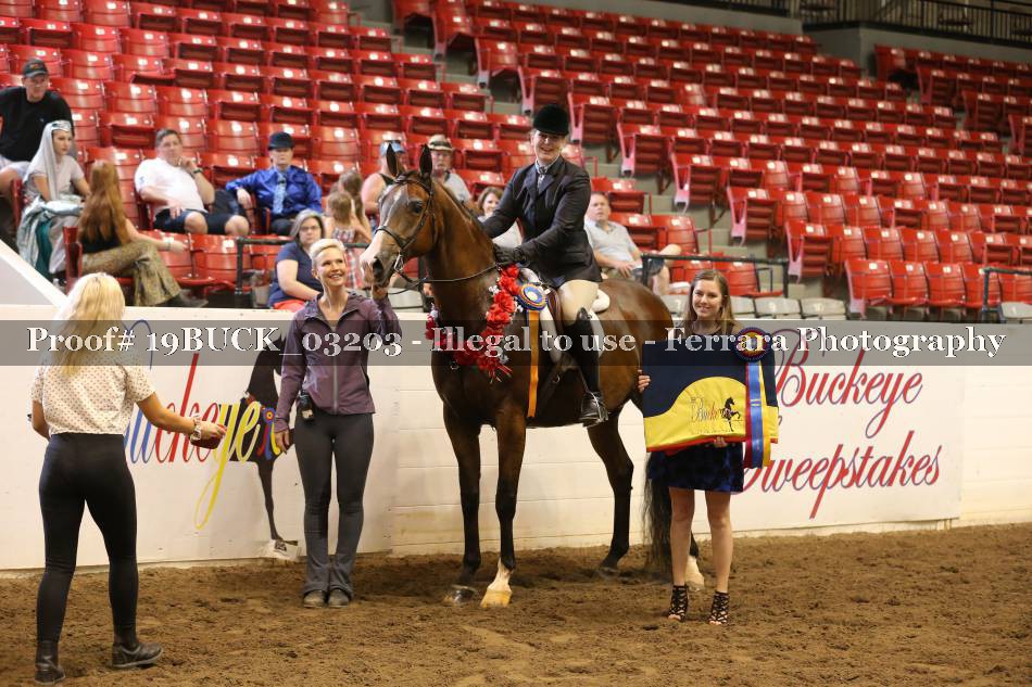 Proof 19BUCK_03203