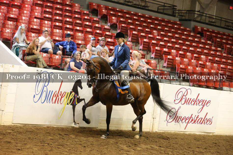 Proof 19BUCK_03204