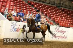 19BUCK_03204 proof