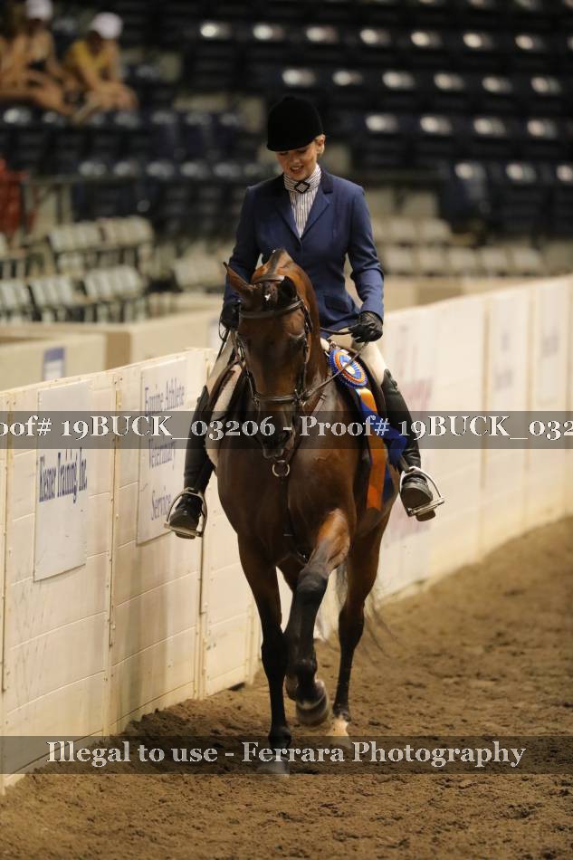 Proof 19BUCK_03206