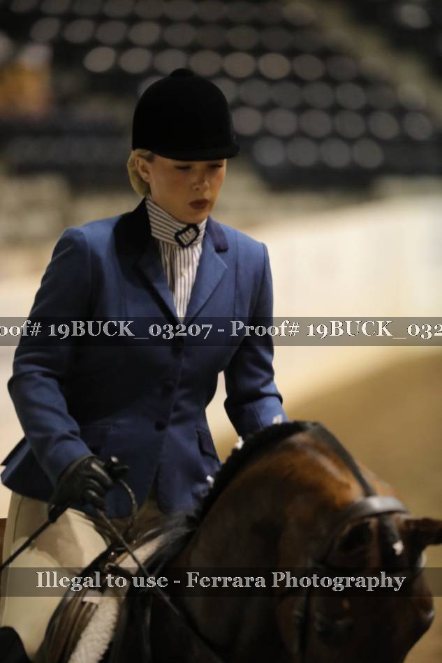 Proof 19BUCK_03207