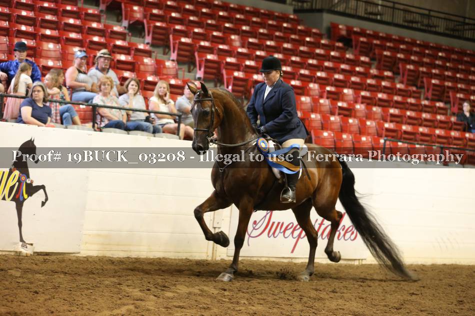 Proof 19BUCK_03208