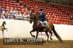 19BUCK_03208 proof