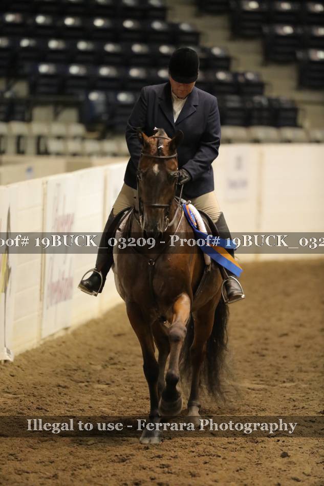 Proof 19BUCK_03209