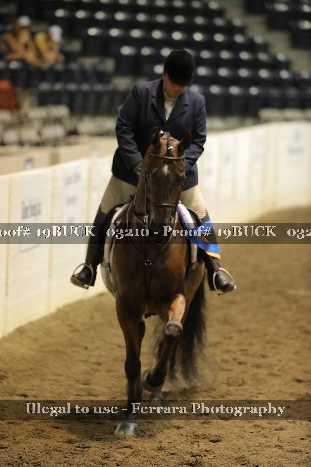 Proof 19BUCK_03210