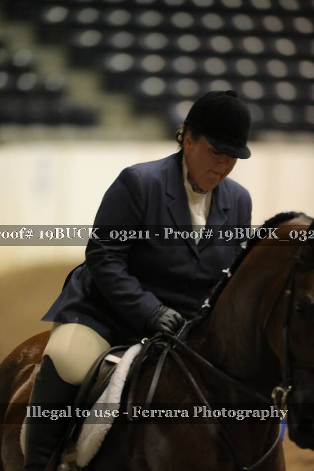 Proof 19BUCK_03211
