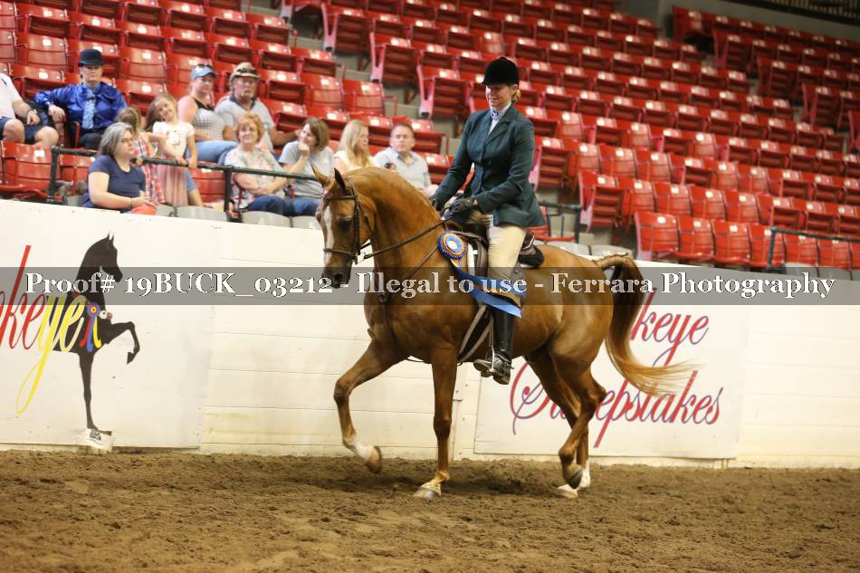 Proof 19BUCK_03212