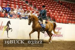 19BUCK_03212 proof