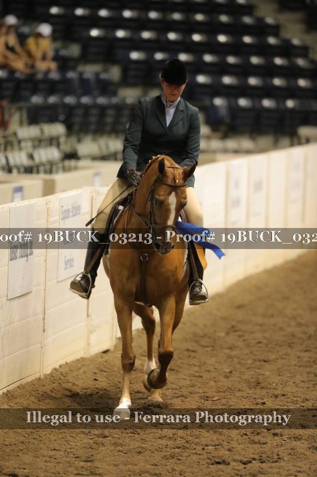 Proof 19BUCK_03213
