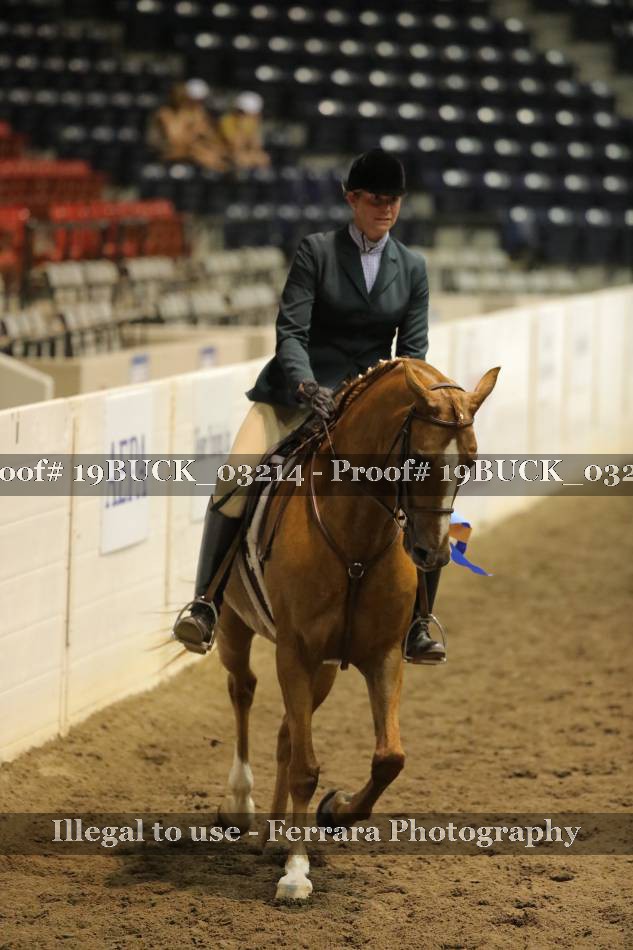 Proof 19BUCK_03214