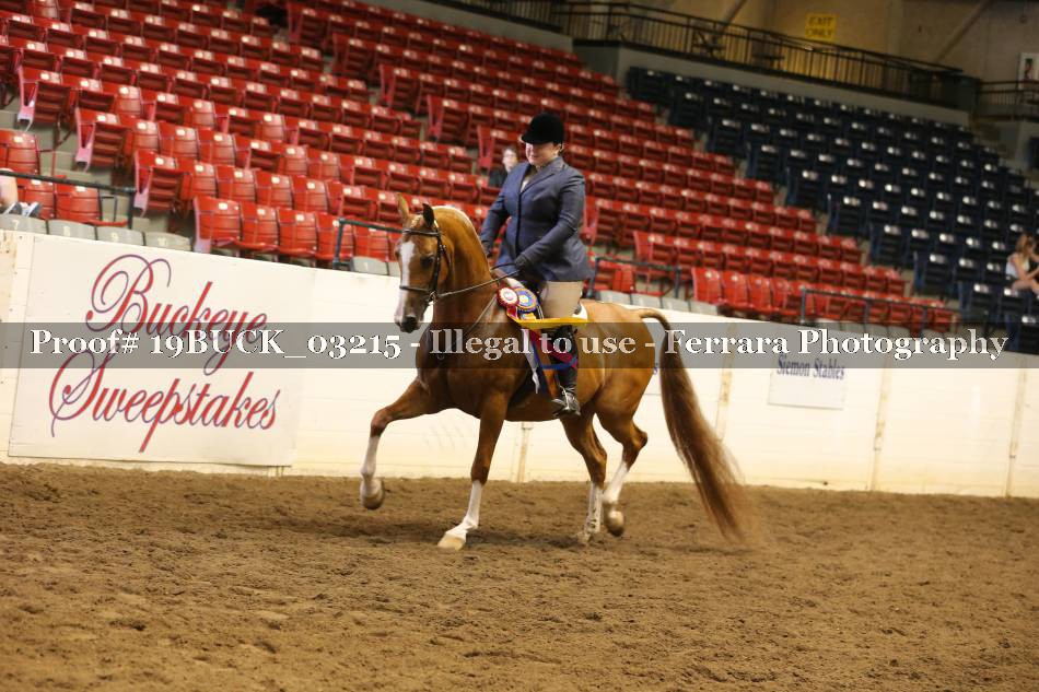Proof 19BUCK_03215