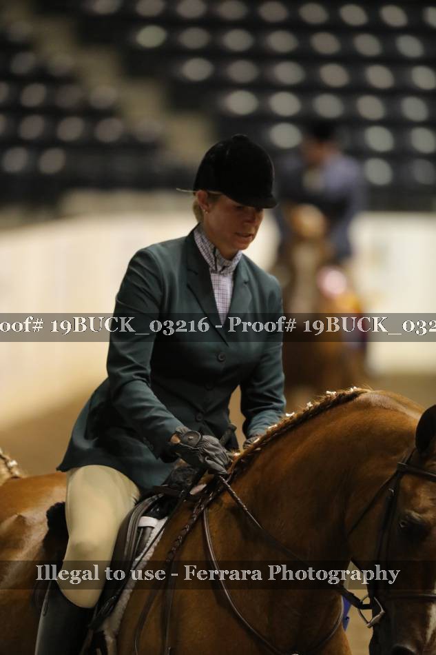 Proof 19BUCK_03216