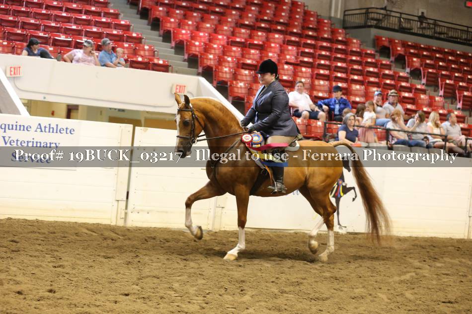 Proof 19BUCK_03217