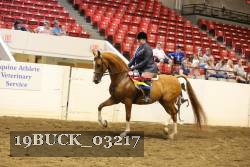 19BUCK_03217 proof