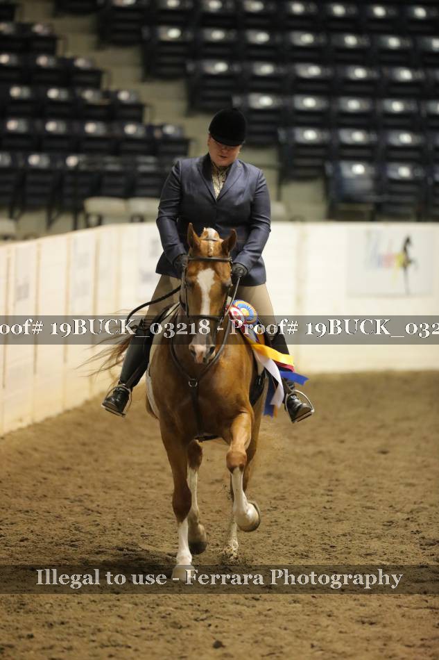 Proof 19BUCK_03218