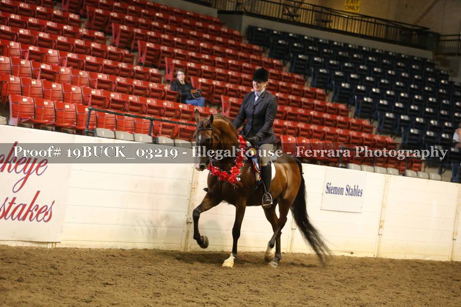 Proof 19BUCK_03219