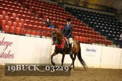 19BUCK_03219 proof