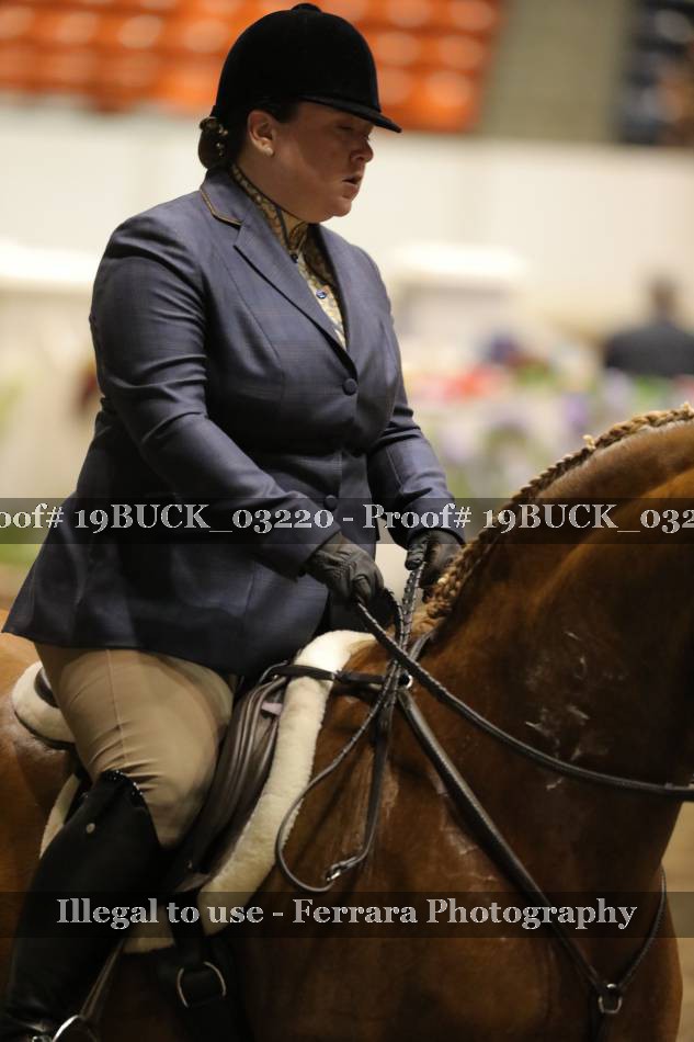 Proof 19BUCK_03220