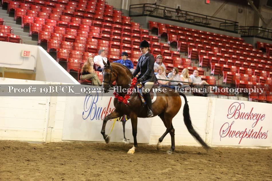 Proof 19BUCK_03221