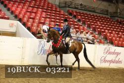 19BUCK_03221 proof