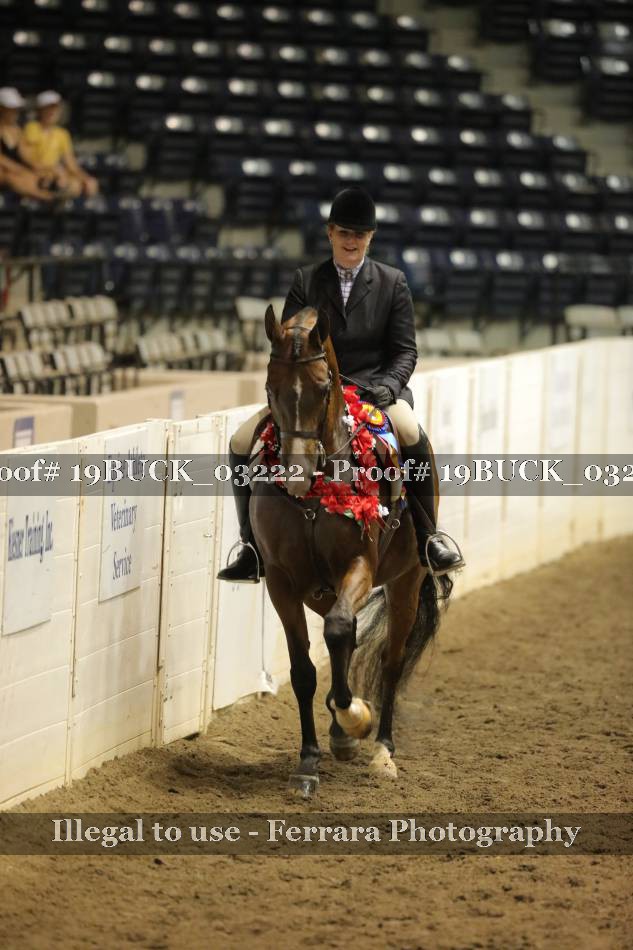 Proof 19BUCK_03222