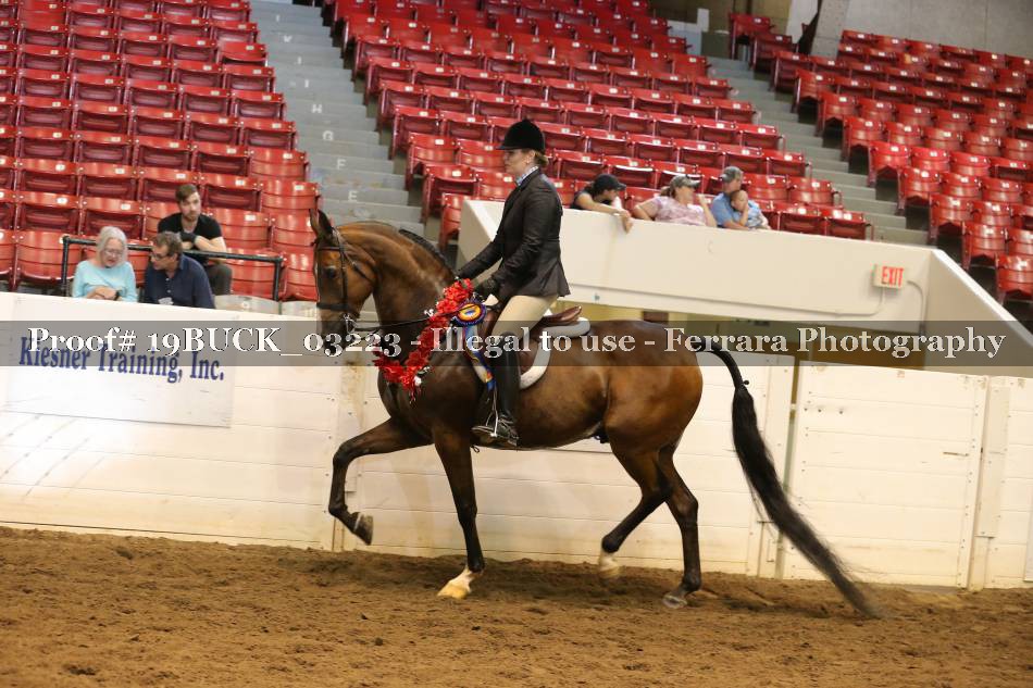 Proof 19BUCK_03223