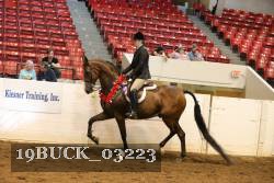 19BUCK_03223 proof
