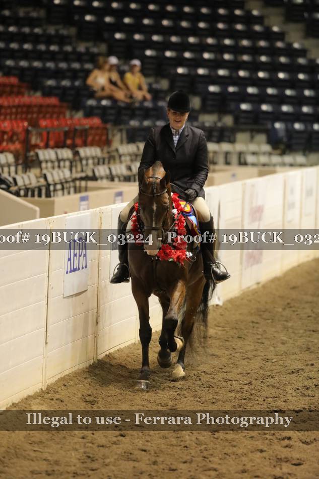 Proof 19BUCK_03224