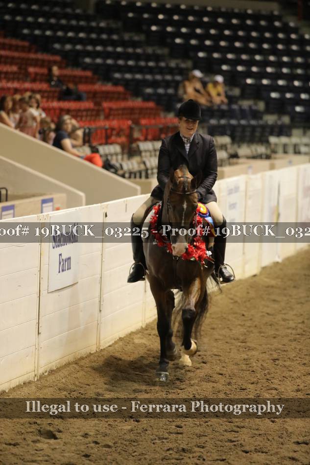 Proof 19BUCK_03225
