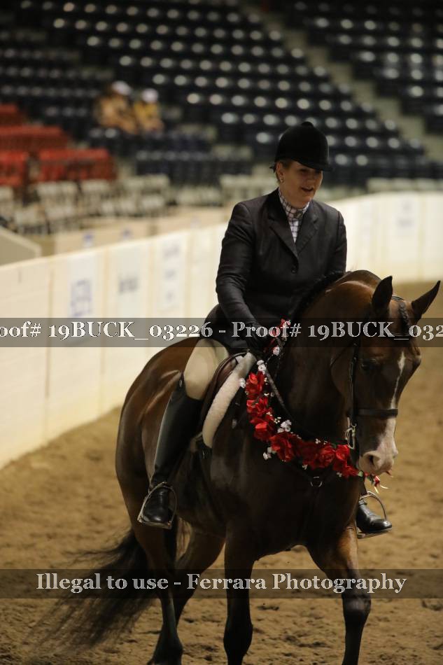 Proof 19BUCK_03226