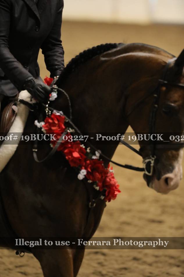 Proof 19BUCK_03227