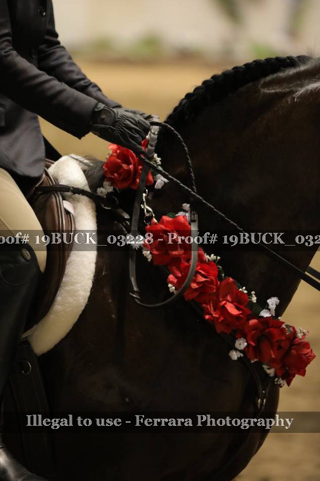 Proof 19BUCK_03228
