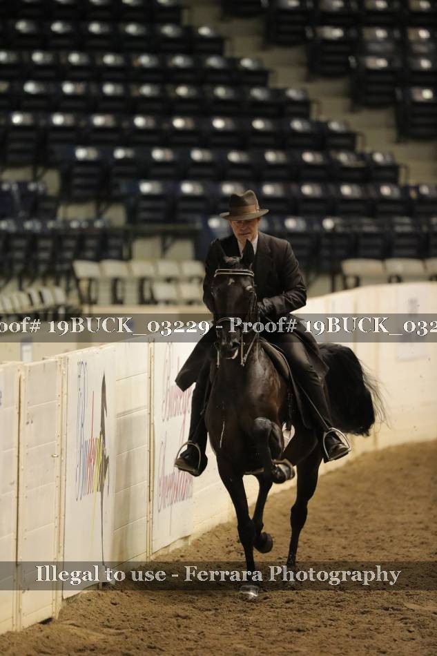 Proof 19BUCK_03229