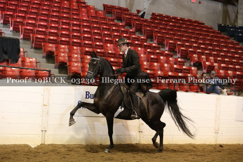 Proof 19BUCK_03230