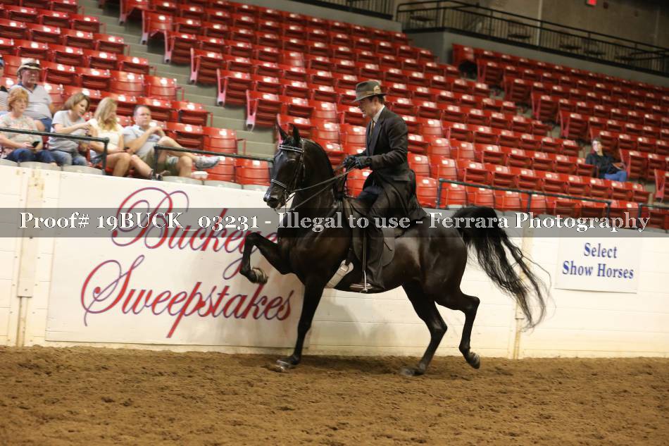 Proof 19BUCK_03231