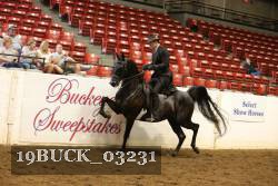 19BUCK_03231 proof