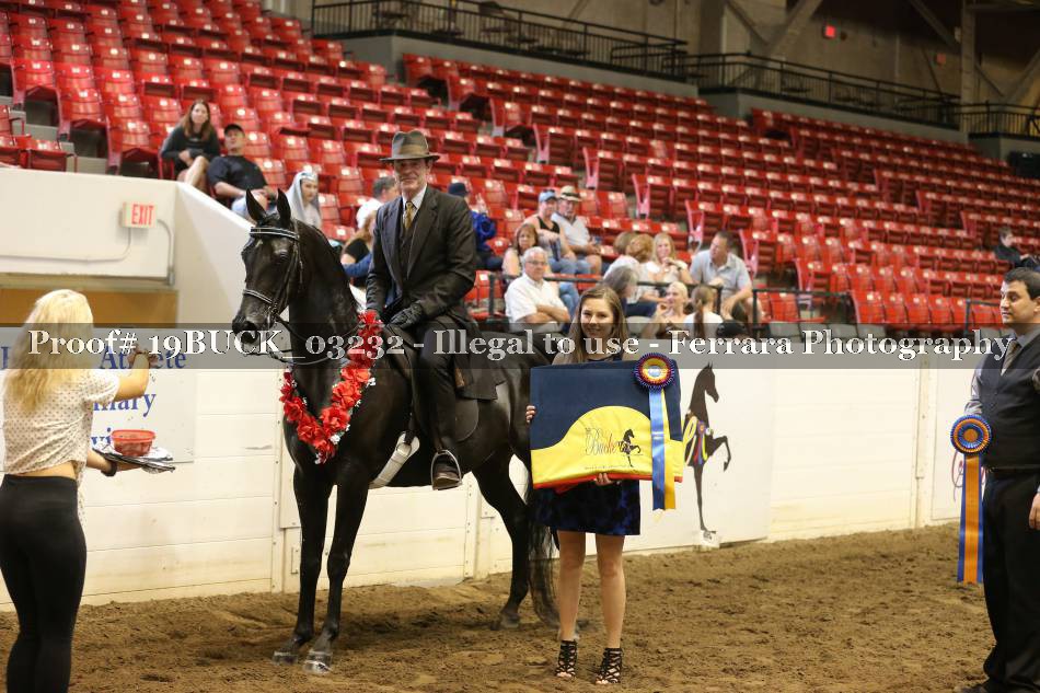 Proof 19BUCK_03232