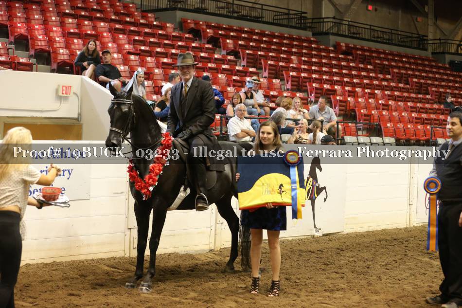 Proof 19BUCK_03233