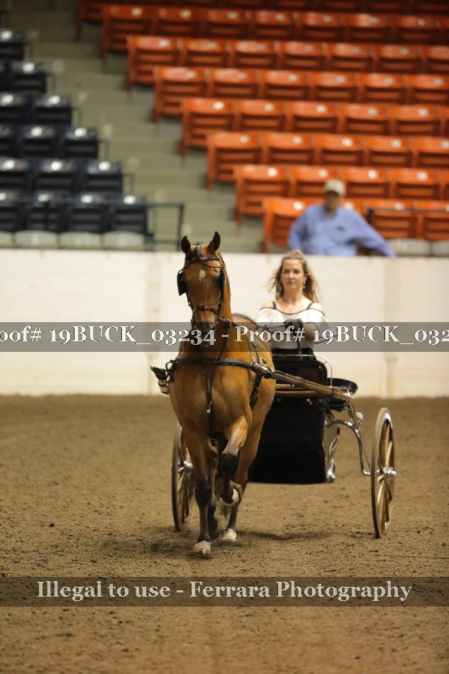 Proof 19BUCK_03234