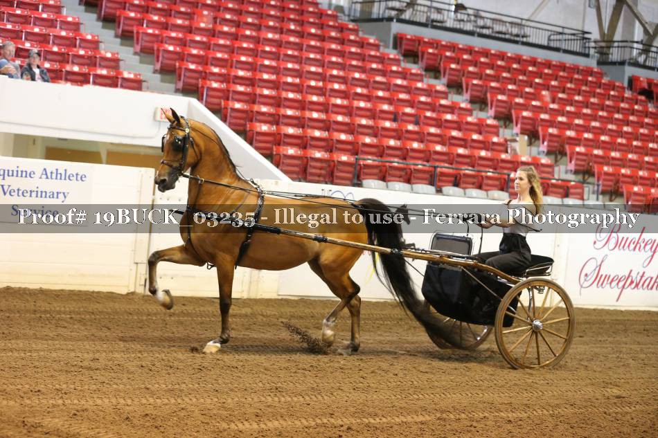 Proof 19BUCK_03235