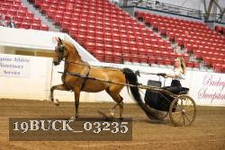 19BUCK_03235 proof